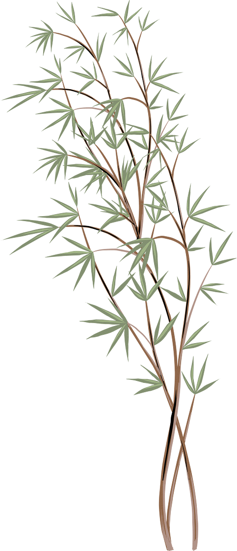 Ornaments