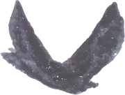 orn-gift