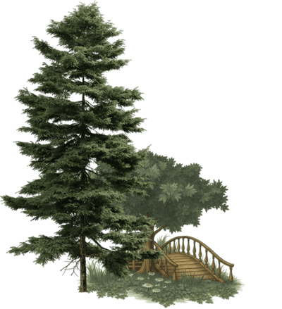 Ornaments